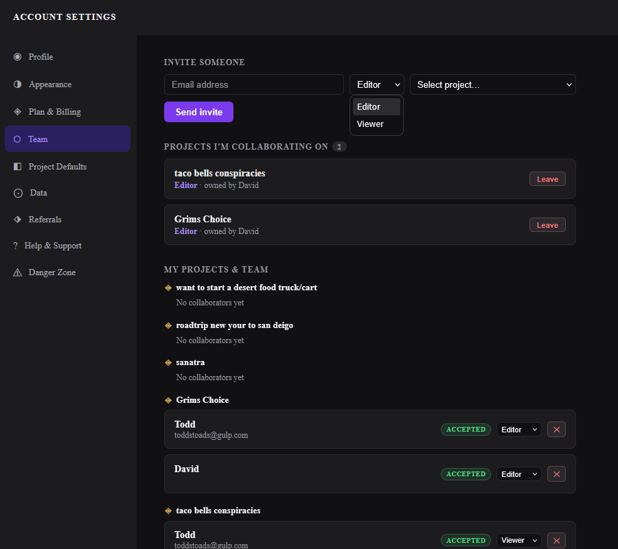 The Team tab in Account Settings showing the invite form at the top and an active collaborator row with a role selector